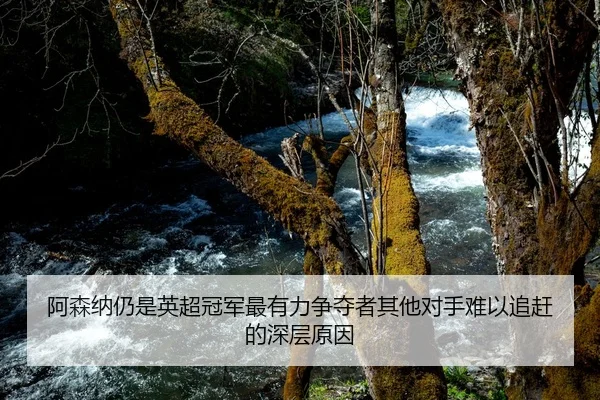 阿森纳仍是英超冠军最有力争夺者其他对手难以追赶的深层原因 | mksportsapp