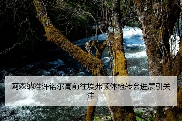 阿森纳准许诺尔高前往埃弗顿体检转会进展引关注