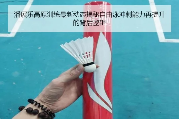 潘展乐高原训练最新动态揭秘自由泳冲刺能力再提升的背后逻辑 | mksportsapp